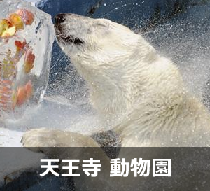 天王寺 動物園