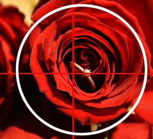 飛田で働く魅力